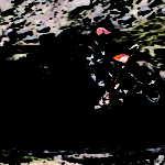 Nya KTM 250-300 EXC TPI – världens första tvåtaktsenduro med insprutning